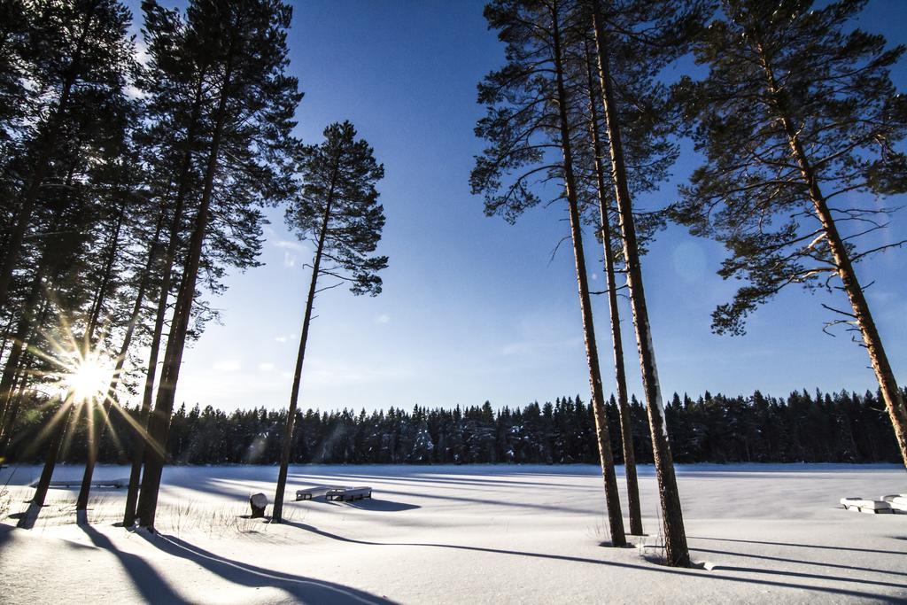 Lomaperkkioe Cottages Kajaani Dış mekan fotoğraf